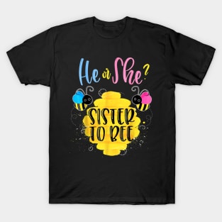 Gender Reveal For Sister T-Shirt